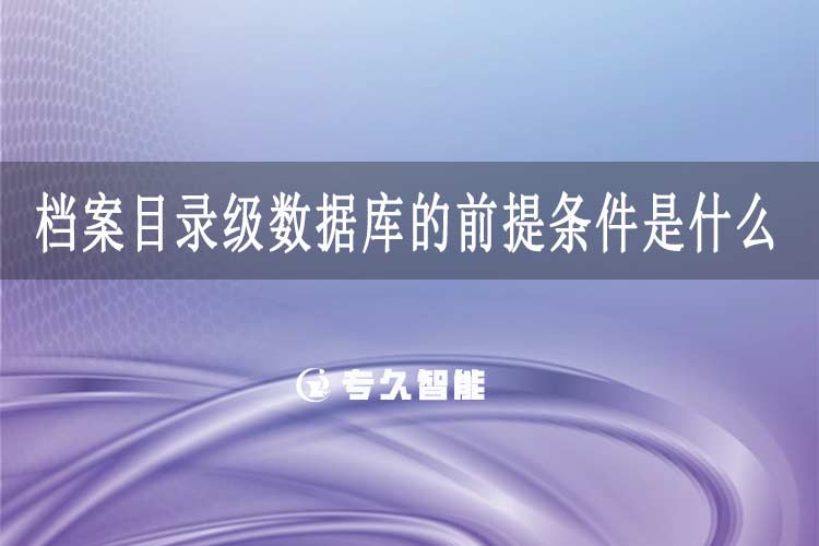 檔案目錄級數(shù)據(jù)庫的前提條件是什么-專久智能