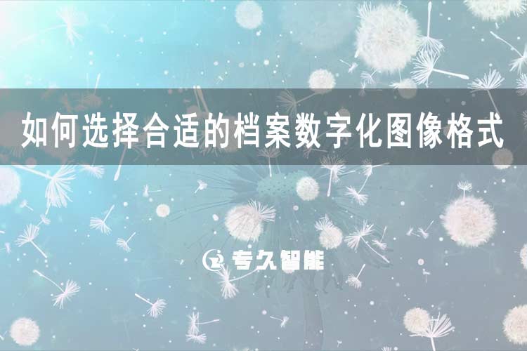 如何選擇合適的檔案數(shù)字化圖像格式？-專久智能