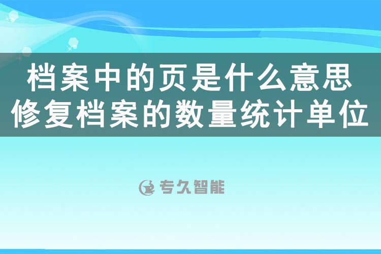 檔案中的頁是什么意思？修復(fù)檔案的數(shù)量統(tǒng)計(jì)單位是什么？-專久智能